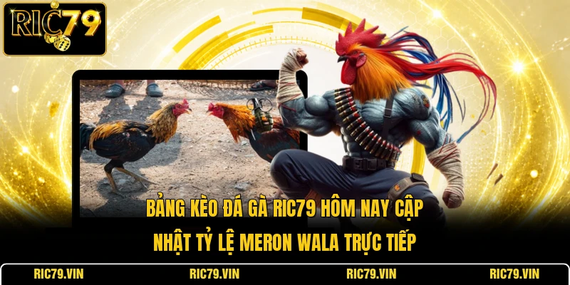 Bảng kèo đá gà RIC79 hôm nay cập nhật tỷ lệ Meron Wala trực tiếp