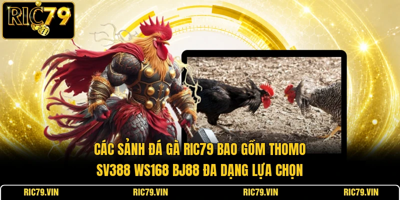 Các sảnh đá gà RIC79 bao gồm Thomo SV388 WS168 BJ88 đa dạng lựa chọn