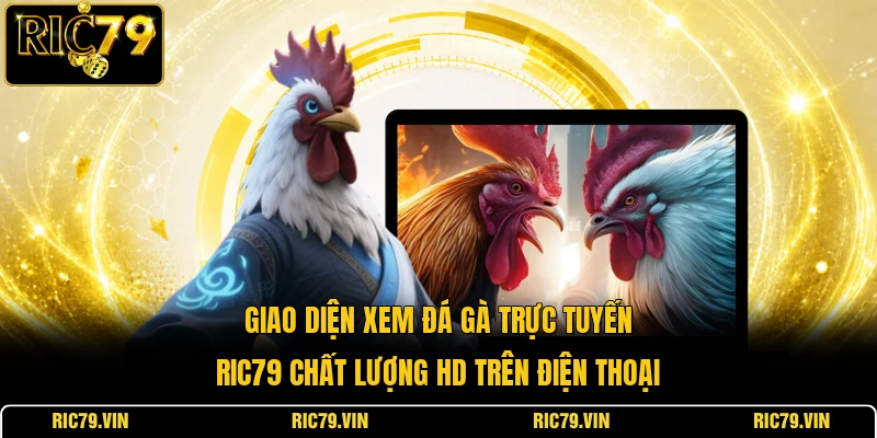 Giao diện xem đá gà trực tuyến RIC79 chất lượng HD trên điện thoại