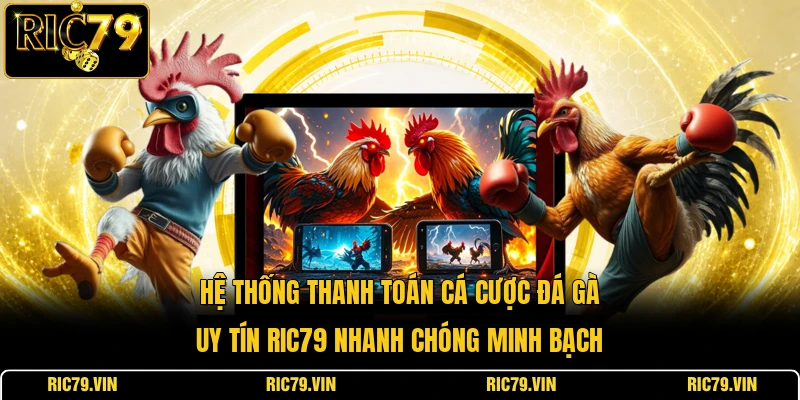 Hệ thống thanh toán cá cược đá gà uy tín RIC79 nhanh chóng minh bạch