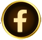 Icon trái
