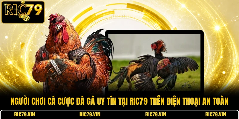Người chơi cá cược đá gà uy tín tại RIC79 trên điện thoại an toàn