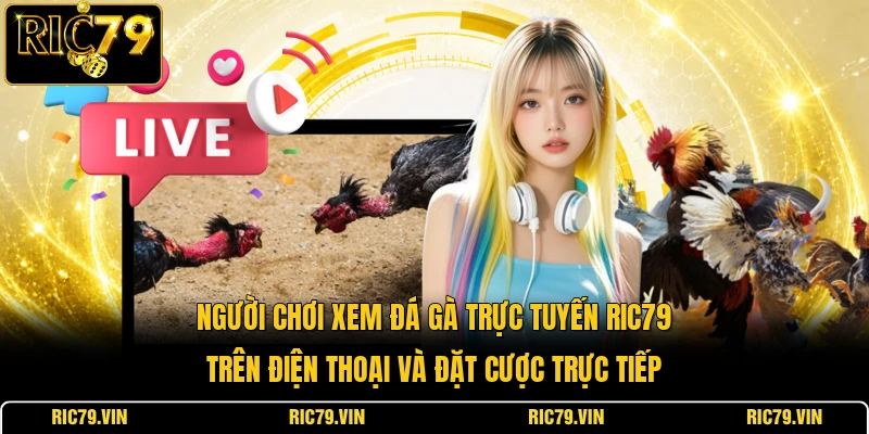 Người chơi xem đá gà trực tuyến RIC79 trên điện thoại và đặt cược trực tiếp