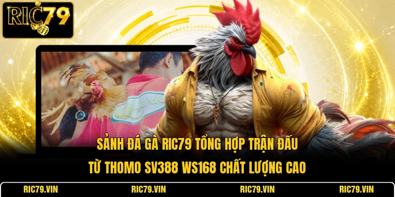 Đá gà RIC79 – Sảnh Cược Gà Đỉnh Cao, Minh Bạch & Uy Tín