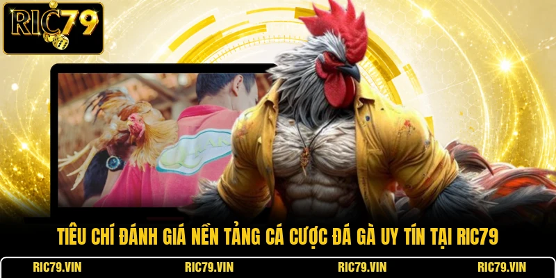 Tiêu chí đánh giá nền tảng cá cược đá gà uy tín tại RIC79