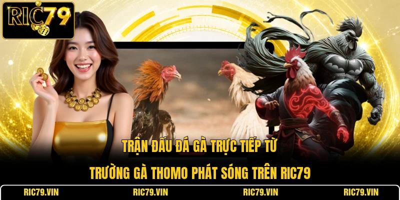 Trận đấu đá gà trực tiếp từ trường gà Thomo phát sóng trên RIC79