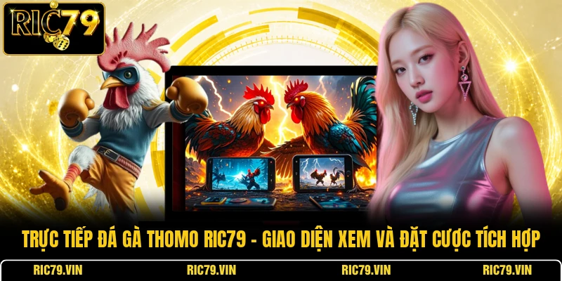 Trực tiếp đá gà Thomo RIC79 – giao diện xem và đặt cược tích hợp
