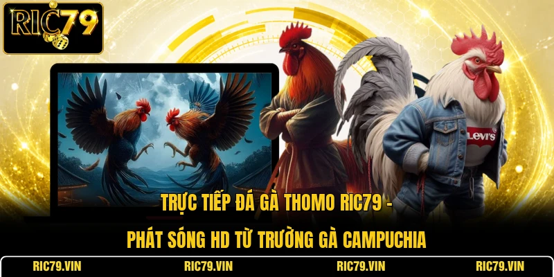 Trực tiếp đá gà Thomo RIC79 – phát sóng HD từ trường gà Campuchia