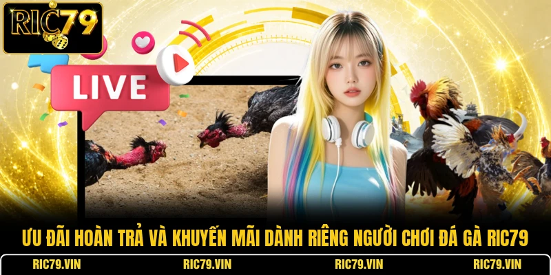 Ưu đãi hoàn trả và khuyến mãi dành riêng người chơi đá gà RIC79