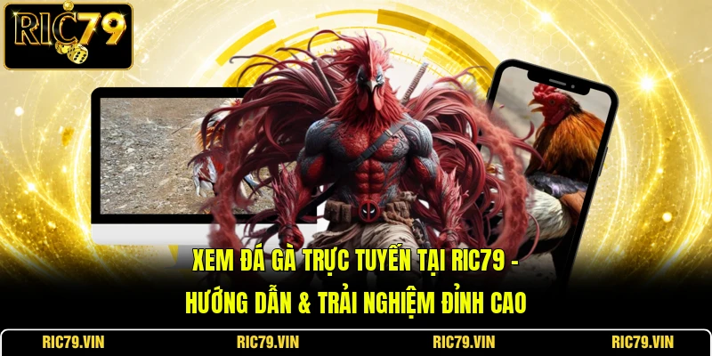 Xem đá gà trực tuyến tại RIC79 – Hướng dẫn & Trải nghiệm đỉnh cao